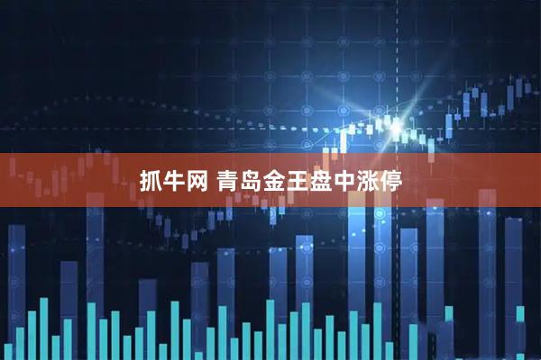 抓牛网 青岛金王盘中涨停