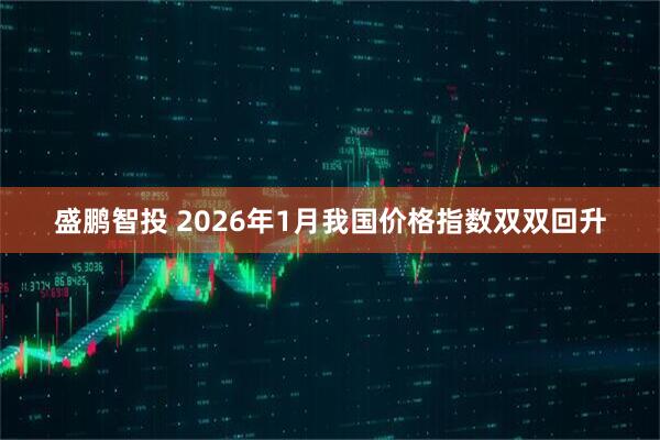 盛鹏智投 2026年1月我国价格指数双双回升